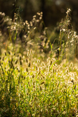 nature views with hills, mountains and rivers in malaga andalusia spain 