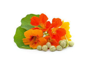 Nasturtium flowers with seeds.