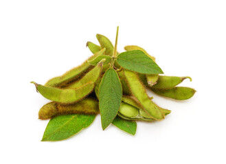 Obraz premium Green soybean pods with leaves and flowers.