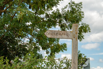 Wooden sign post