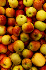 Heap of ripe red apples in a box. Vitamins and healthy food. New harvest. Top view. Vertical.
