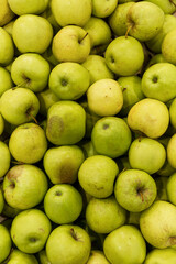Heap of ripe green apples in a box. Vitamins and healthy food. New harvest. Top view. Vertical.