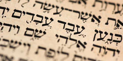 Closeup of hebrew words in Torah page that translate in english as Cursed be Canaan, a servant of servants shall he be to his brothers. Selective focus. Banner. - obrazy, fototapety, plakaty