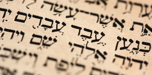 Closeup of hebrew words in Torah page that translate in english as Cursed be Canaan, a servant of servants shall he be to his brothers. Selective focus. Banner. © Володимир Захаров