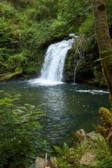 Naklejka na ściany i meble Beautiful waterfall hidden in a remote part of Galicia, Spain.