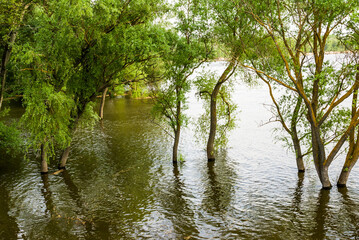 Spring flood on the Don river