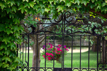 gate to the garden