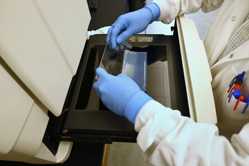 Scientist manipulating an electrophoresis gel