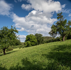 Fototapeta na wymiar Tal in Thüringer Mittelgebirge mit Häusern, Bäumen uns Weisen , Wolken und blauem Himmel im Sommer