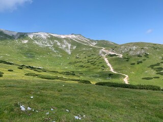 Fototapeta premium landscape in summer