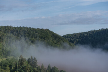 Thüringer  Mittelgebirge mit Sonne, Bäumen und Nebel am Morgen