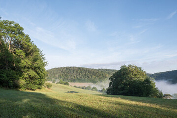 Fototapeta na wymiar Nebel am Morgen über Hügeln in Thüringen im Sommer