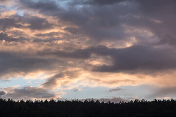 Wolken Über Nadelwald am Abend mit Abendrot und blauem Himmel