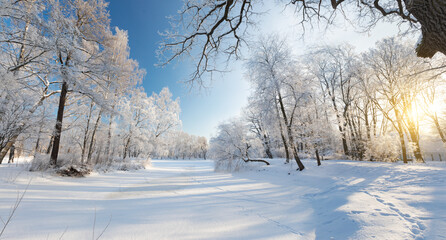 Panorama of beautiful winter park