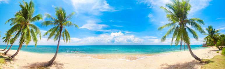 panorama of tropical beach with coconut palm trees - 451282780