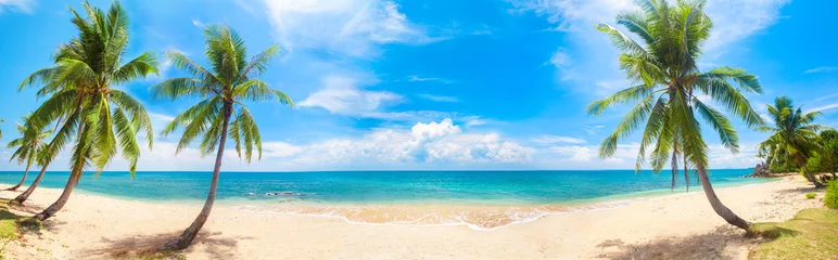 Fototapeten panorama of tropical beach with coconut palm trees © Alexander Ozerov