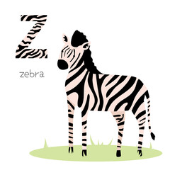 Fototapeta na wymiar Animals alphabet. Z for zebra. Flat vector illustration on white background. Funny cartoon animal. Kids abc education. Learning English vocabulary. Zoo alphabet flash card