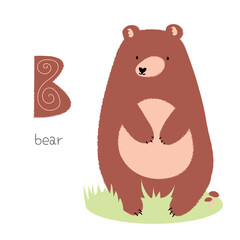 Animals alphabet. B for bear. Flat vector illustration on white background. Funny cartoon animal. Kids abc education. Learning English vocabulary. Zoo alphabet flash card