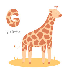 Animals alphabet. G for giraffe. Flat vector illustration on white background. Funny cartoon animal. Kids abc education. Learning English vocabulary. Zoo alphabet flash card