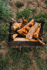 Close-up burning chopped pine firewood lies in a metal rusty old brazier. Photography, concept.