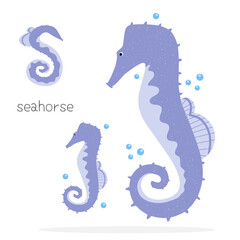 Animals alphabet. S for seahorse. Flat vector illustration on white background. Funny cartoon animal. Kids abc education. Learning English vocabulary. Zoo alphabet flash card