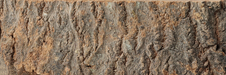 texture of the wood