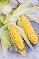 Delicious Sweet  Boiled Corn on a White Marble Background 