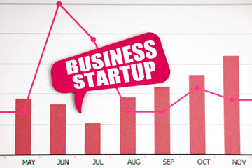 On the reporting chart there is a plate with the inscription - BUSINESS STARTUP