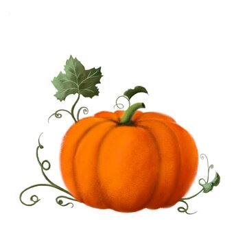 autumn pumpkin, halloween illustration, hand drawn clipart