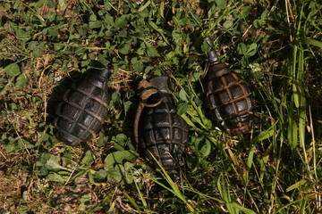 Three different world war grenades on the grass
