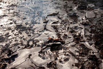 ice 