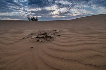 MESQUITE FLATS SAND DUNES DEATH VALLEY NP 9.