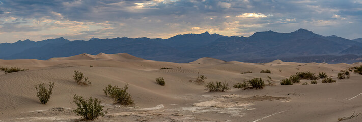 MESQUITE FLATS SAND DUNES DEATH VALLEY NP PANORAMA 1