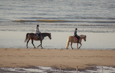 Strand mit Pferde