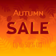 Autumn sale banners for September shopping promo or 50 percent fall store discount. maple and oak leaves acorn for design of discount flyer or web banner. Autumn  background