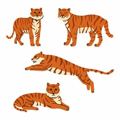 Fototapeta na wymiar Set of adult big tigers in wildlife and fauna theme. Cartoon animal design. Tiger year. Flat vector illustration isolated on white background