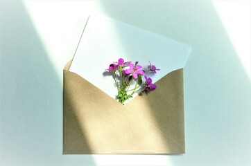 craft envelope for congratulations and letters with flowers real inside