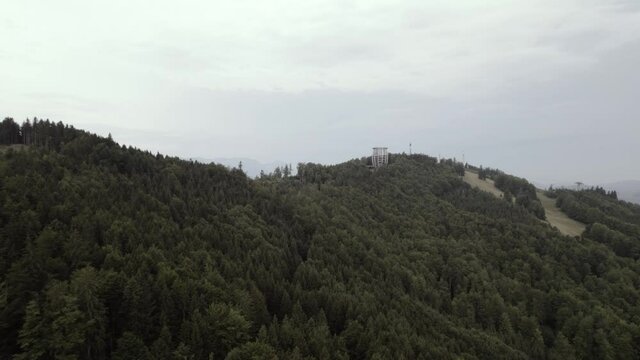 Wald Baumwipfelpfad am Gr&uuml;nberg 