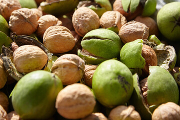 Walnuts and nut with pericarp harvest