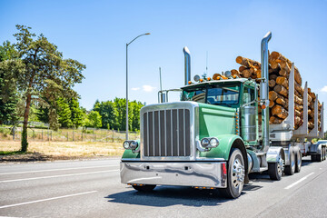 Green day cab industrial big rig semi truck with high exhaust pipes transporting wood logs on the...