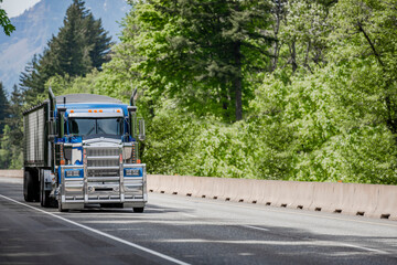 Fototapeta na wymiar Powerful bonnet blue big rig American semi truck with aluminum grille guard bumper transporting cargo in covered bulk semi trailer climbing on the mountain road with forest