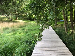 Wooden path in the forest, Boardwalk near Hald S&oslash;, Viborg, Denmark