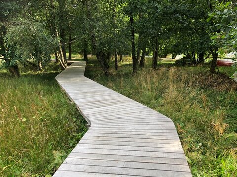 Wooden path in the forest, Boardwalk near Hald S&oslash;, Viborg, Denmark