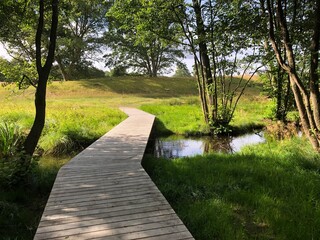 Fototapeta premium Path in the forest