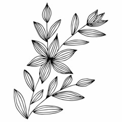 Freehand drawing of black and white flowers and leaves. Vector drawing for a coloring book. Doodle or sketch style.