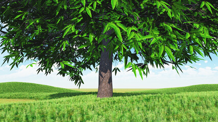 3D landscape with large tree in grassy meadow