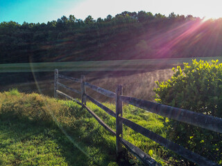 Fototapeta premium Dawn breaking over the trees