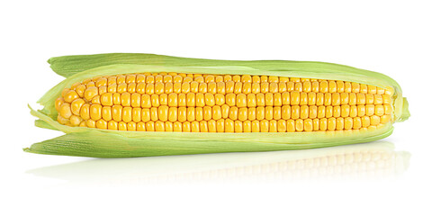 one ear of fresh corn on white isolated background