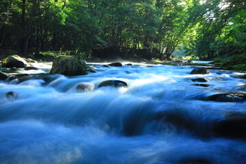 岩手県遠野市　夏の渓流
