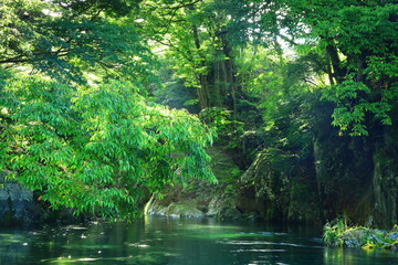 岩手県遠野市　夏の渓流